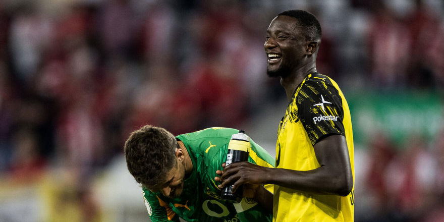 Кобель выделяется, Рюэрсон удивляет, Гирасси разочаровывает. Игроки дортмундской «Боруссии» по итогам первой половины сезона в Бундеслиге.